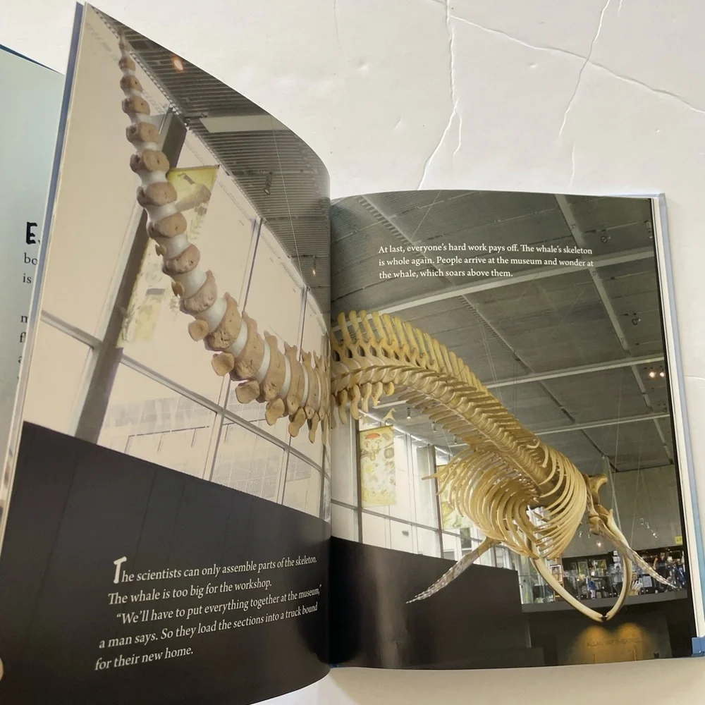 Big Blue Forever: The Story of Canada's Largest Blue Whale Skeleton Hardcover